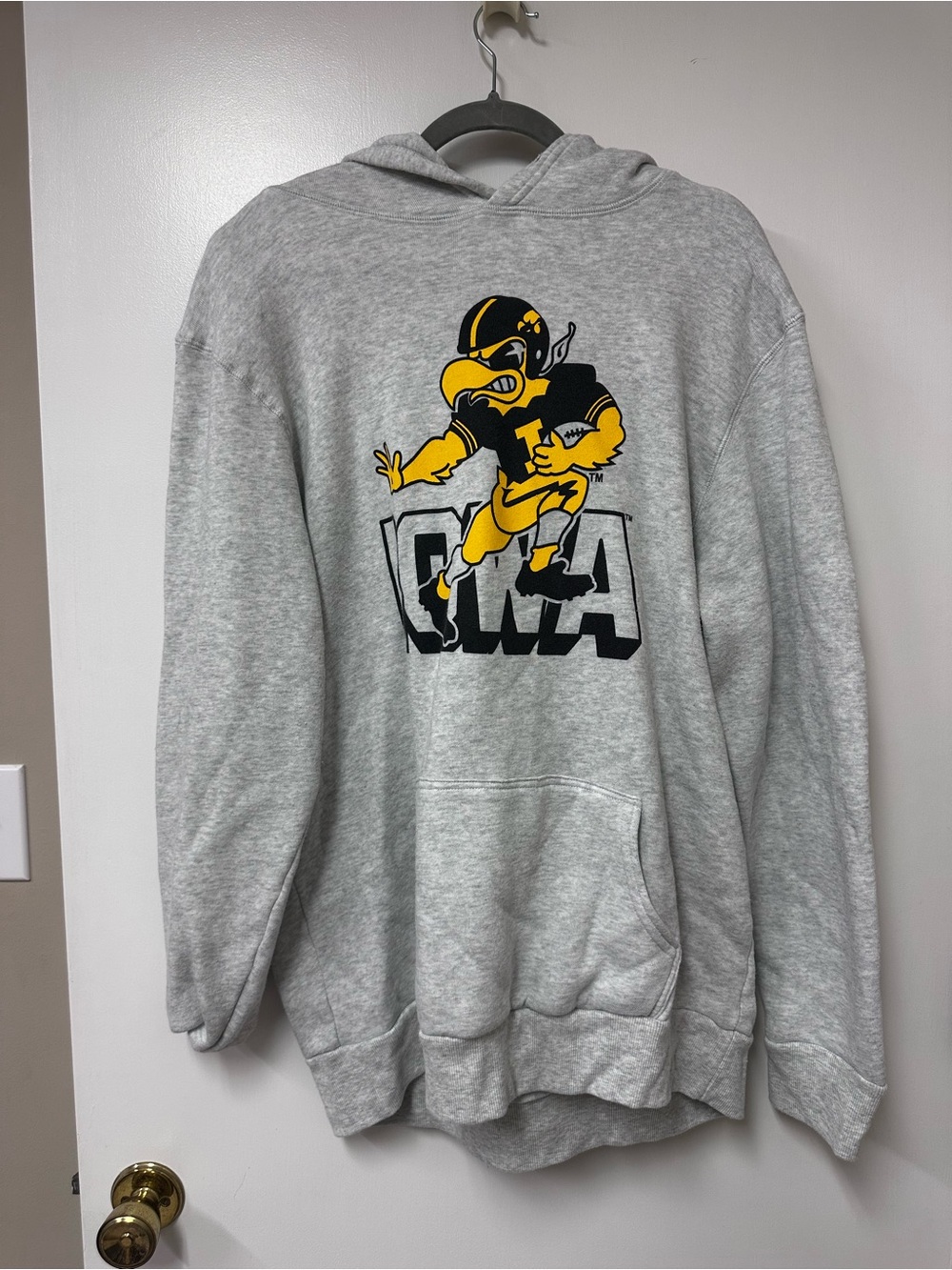 Grey Iowa Mascot Hoodie Sweatshirt